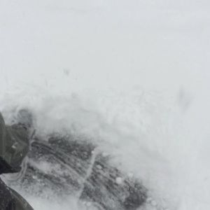 Meet your Posher, Paulo